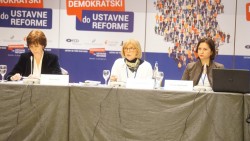 DEMOKRATSKI DO USTAVNE REFORME