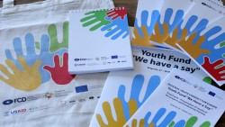 We Have A Say Youth Fund – presenting the results of youth projects