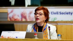 vuckovic-in-brussels-civil-society-organisation-play-an-important-role-in-the-european-integration-process