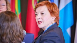 vuckovic-in-brussels-civil-society-ensures-citizens-voices-are-heard