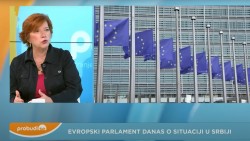 najvecu-paznju-evroposlanika-privukla-je-povecana-represija-u-srbiji