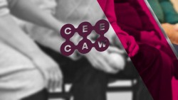 ceecaw-collective-bargaining-in-europe-video