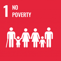 international-day-for-the-eradication-of-poverty-through-the-implementation-of-the-sdgs