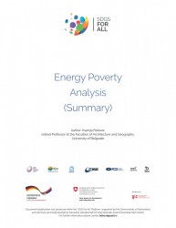 Energy Poverty Analysis (Summary)