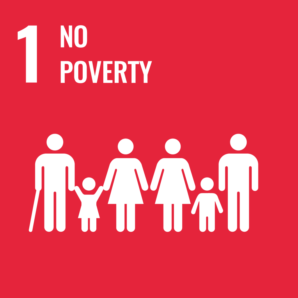 International Day for the Eradication of Poverty Through the Implementation of the SDGs